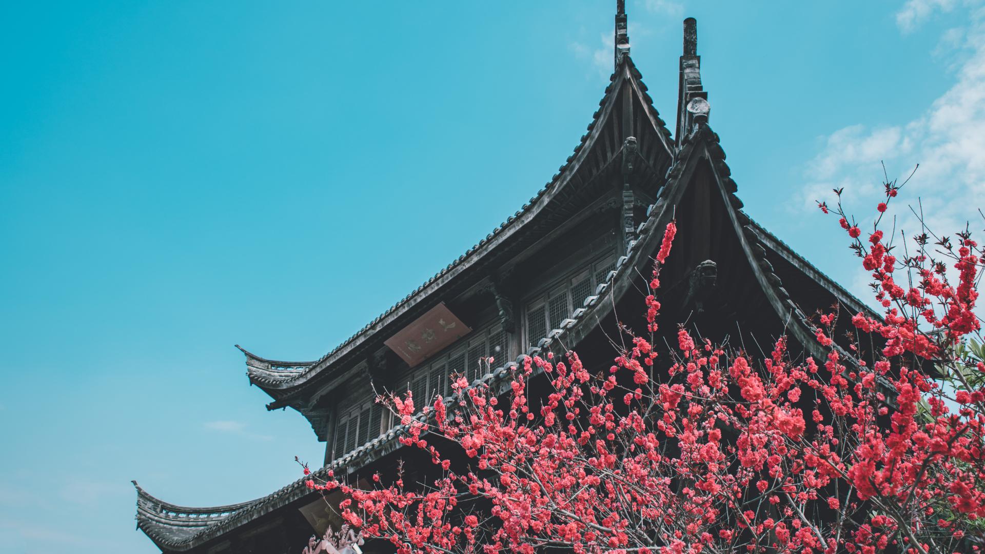 大乘阿毗达磨杂集论卷第四