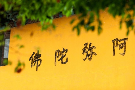 杂阿含经卷第五十-内学智慧