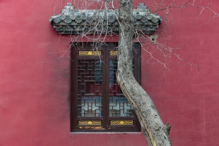 佛说菩萨十住经-内学智慧