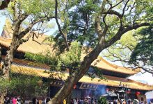 维摩诘所说经注卷第九-内学智慧