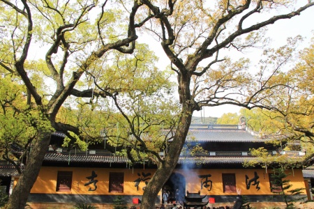 维摩诘所说经注卷第六-内学智慧