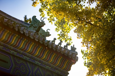 增壹阿含经卷第四十二-内学智慧