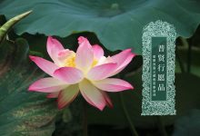 普贤行愿品-内学智慧