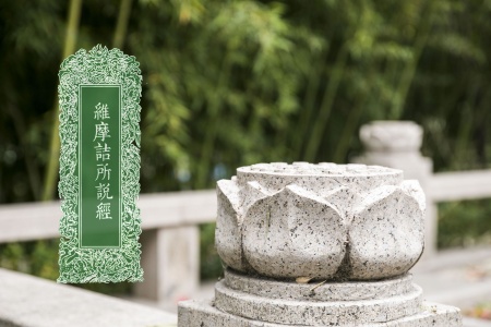 维摩诘所说经-内学智慧