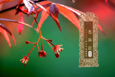 悲华经卷第四-内学智慧