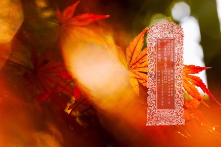 称赞净土佛摄受经-内学智慧宝库