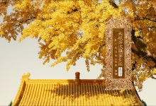 大般若波罗蜜多经卷第三百五-内学智慧