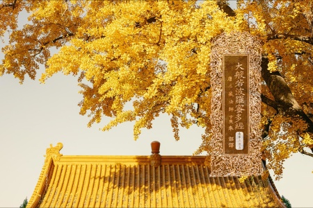 大般若波罗蜜多经卷第三百五-内学智慧