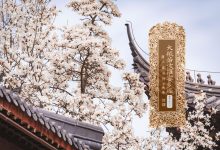 大般若波罗蜜多经卷第三百一十一-内学智慧