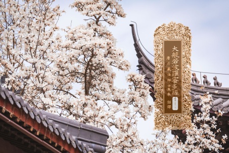 大般若波罗蜜多经卷第三百一十一-内学智慧