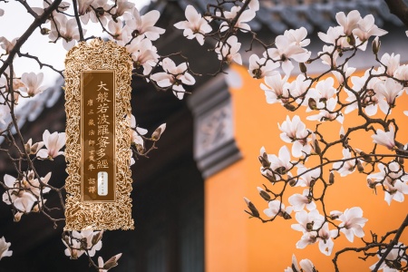 大般若波罗蜜多经卷第三百一十四-内学智慧