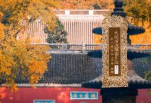 大般若波罗蜜多经卷第三百一十七-内学智慧