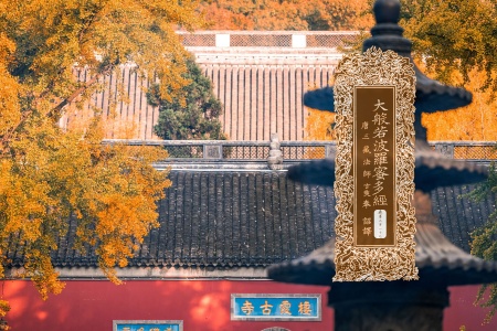 大般若波罗蜜多经卷第三百一十七-内学智慧