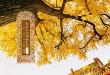 大般若波罗蜜多经卷第三百四十八-内学智慧