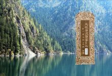 大般若波罗蜜多经卷第三百五十三-内学智慧