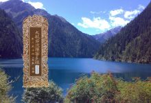 大般若波罗蜜多经卷第三百五十四-内学智慧