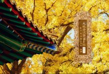 大般若波罗蜜多经卷第三百五十七-内学智慧