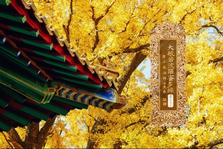 大般若波罗蜜多经卷第三百五十七-内学智慧