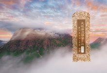 大般若波罗蜜多经卷第三百七十一-内学智慧