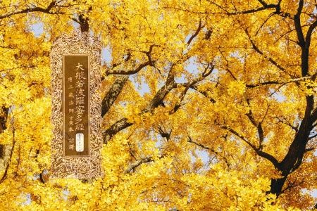 大般若波罗蜜多经卷第三百八十四-内学智慧