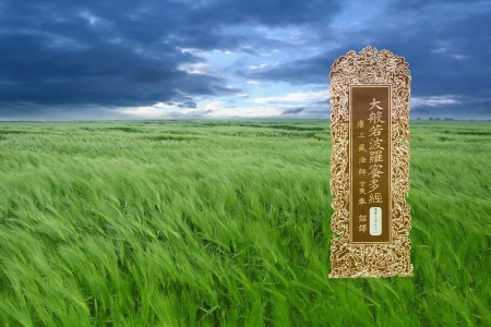 大般若波罗蜜多经卷第三百九十一-内学智慧