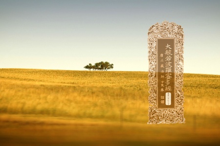 大般若波罗蜜多经卷第三百九十五-内学智慧