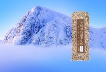 大般若波罗蜜多经卷第三百九十七-内学智慧