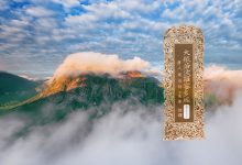 大般若波罗蜜多经卷第三百九十九-内学智慧