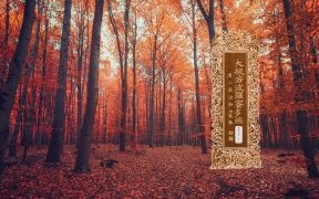 大般若波罗蜜多经卷第四百一十一-内学智慧