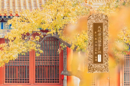 大般若波罗蜜多经卷第四百一十三-内学智慧