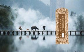 大般若波罗蜜多经卷第四百二十一-内学智慧