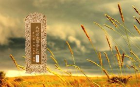 大般若波罗蜜多经卷第四百二十八-内学智慧