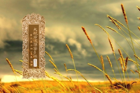 大般若波罗蜜多经卷第四百二十八-内学智慧宝库