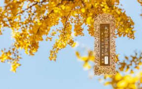 大般若波罗蜜多经卷第四百三十一-内学智慧