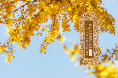 大般若波罗蜜多经卷第四百三十一-内学智慧宝库