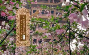 大般若波罗蜜多经卷第四百三十六-内学智慧