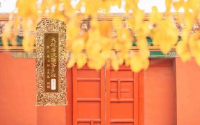 大般若波罗蜜多经卷第四百四十二-内学智慧