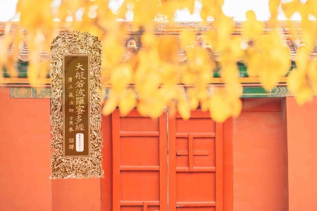 大般若波罗蜜多经卷第四百四十二-内学智慧宝库