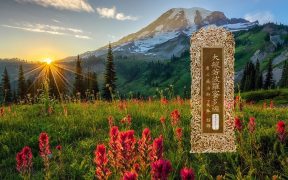 大般若波罗蜜多经卷第四百四十九-内学智慧