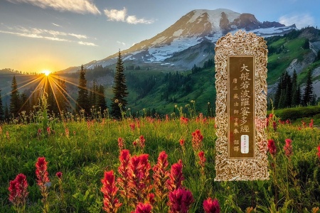 大般若波罗蜜多经卷第四百四十九-内学智慧宝库