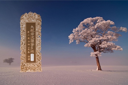 大般若波罗蜜多经卷第四百五十四-内学智慧宝库