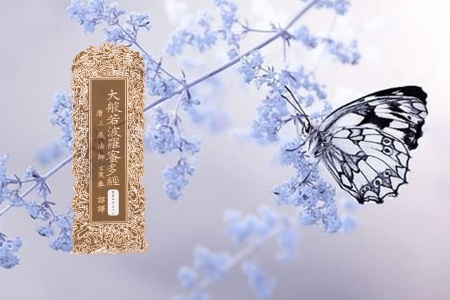 大般若波罗蜜多经卷第四百五十六-内学智慧宝库