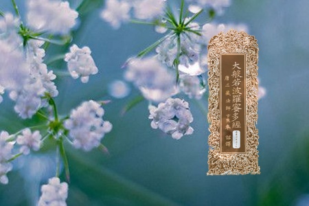 大般若波罗蜜多经卷第四百五十九-内学智慧宝库