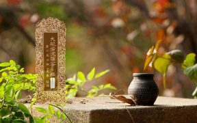 大般若波罗蜜多经卷第四百六十二-内学智慧