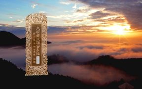 大般若波罗蜜多经卷第四百六十四-内学智慧