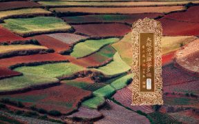 大般若波罗蜜多经卷第四百六十九-内学智慧