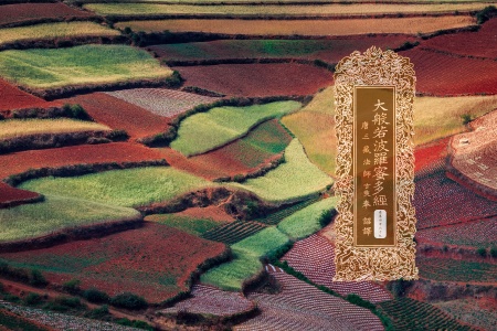 大般若波罗蜜多经卷第四百六十九-内学智慧宝库