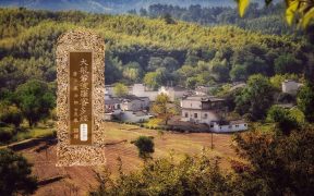 大般若波罗蜜多经卷第四百七十二-内学智慧