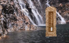 大般若波罗蜜多经卷第四百八十一-内学智慧