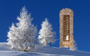 大般若波罗蜜多经卷第四百八十五-内学智慧